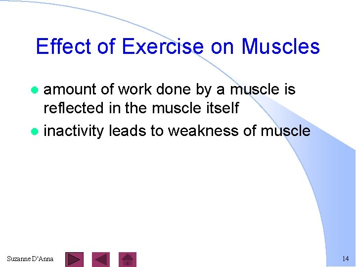 Effect of Exercise on Muscles amount of work done by a muscle is reflected