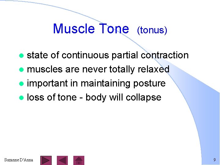 Muscle Tone (tonus) state of continuous partial contraction l muscles are never totally relaxed