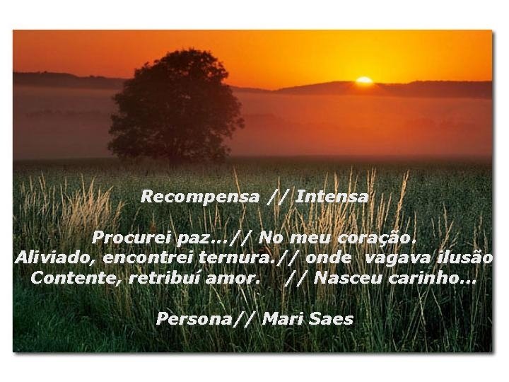 Recompensa // Intensa Procurei paz. . . // No meu coração. Aliviado, encontrei ternura.