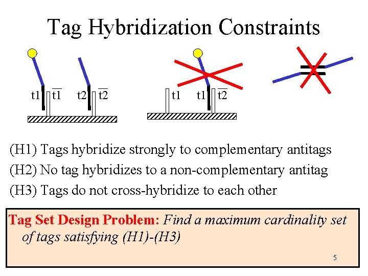 Tag Hybridization Constraints t 1 t 2 (H 1) Tags hybridize strongly to complementary