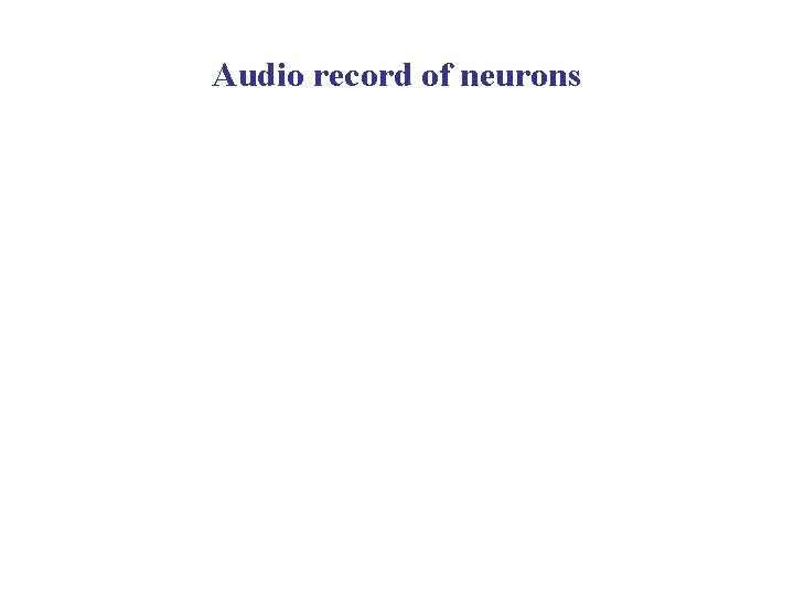 Audio record of neurons 