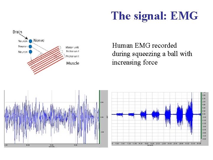 The signal: EMG Human EMG recorded during squeezing a ball with increasing force 