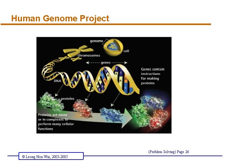 Human Genome Project (Problem Solving) Page 26 © Leong Hon Wai, 2003 -2005 