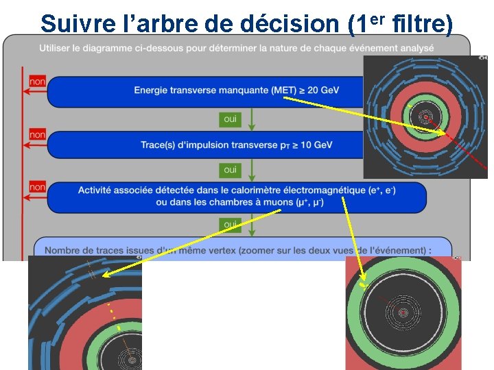 Suivre l’arbre de décision (1 er filtre) 