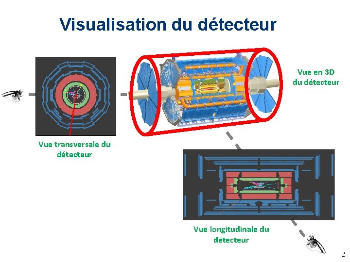 Visualisation du détecteur Vue en 3 D du détecteur Vue transversale du détecteur Vue