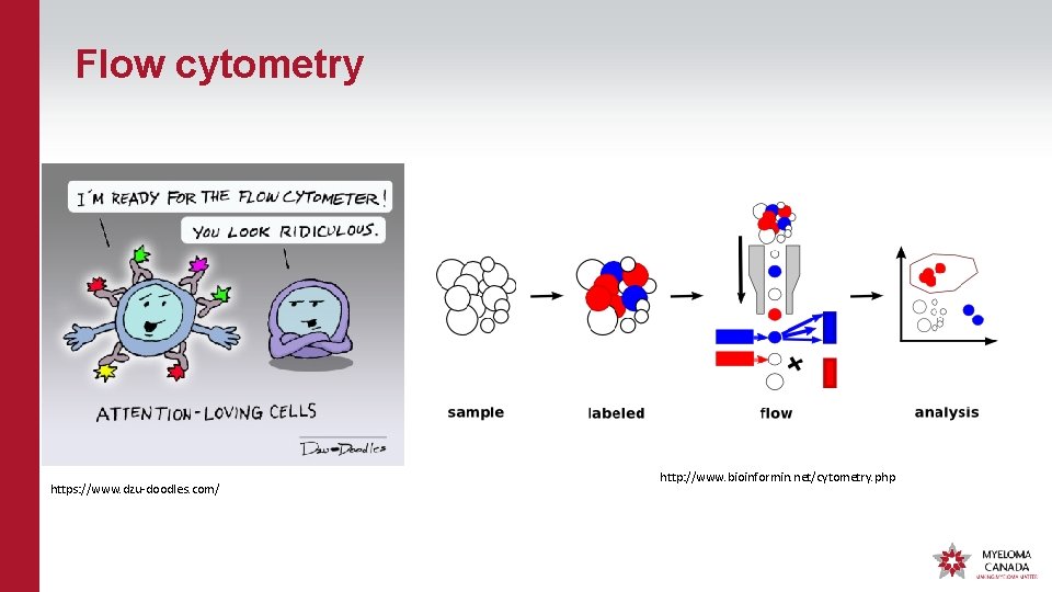 Flow cytometry https: //www. dzu-doodles. com/ http: //www. bioinformin. net/cytometry. php 
