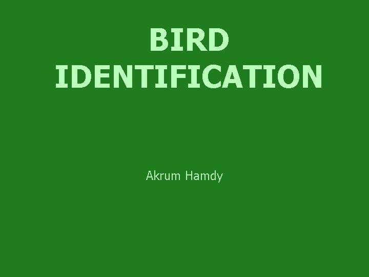 BIRD IDENTIFICATION Akrum Hamdy 