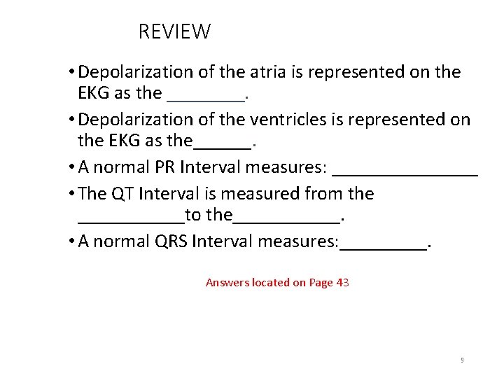 REVIEW • Depolarization of the atria is represented on the EKG as the ____.