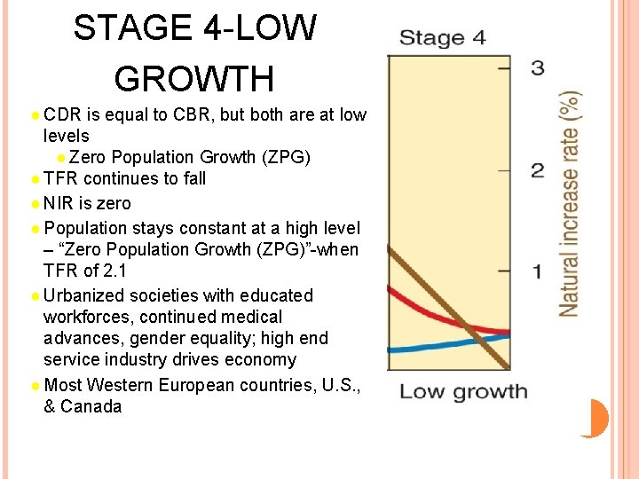 STAGE 4 -LOW GROWTH ● CDR is equal to CBR, but both are at