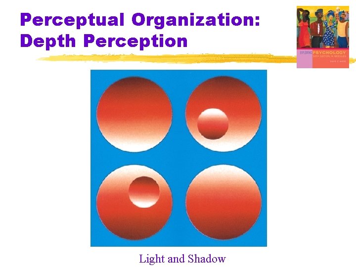 Perceptual Organization: Depth Perception Light and Shadow Perceptual Organization: Depth Perception Light and Shadow