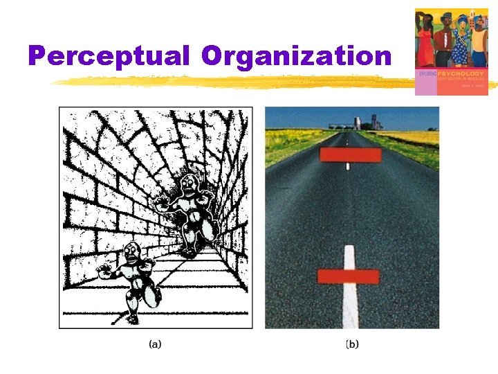 Perceptual Organization Perceptual Organization