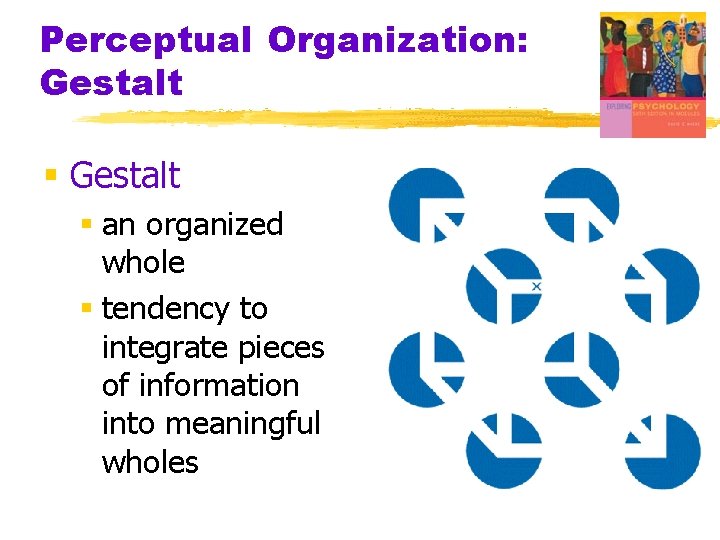 Perceptual Organization: Gestalt § an organized whole § tendency to integrate pieces of information Perceptual Organization: Gestalt § an organized whole § tendency to integrate pieces of information
