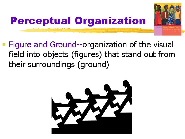 Perceptual Organization § Figure and Ground--organization of the visual field into objects (figures) that Perceptual Organization § Figure and Ground--organization of the visual field into objects (figures) that