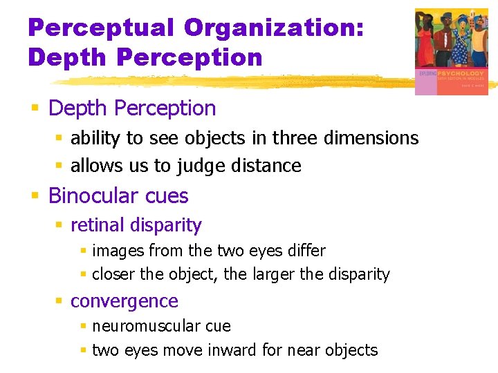 Perceptual Organization: Depth Perception § ability to see objects in three dimensions § allows Perceptual Organization: Depth Perception § ability to see objects in three dimensions § allows