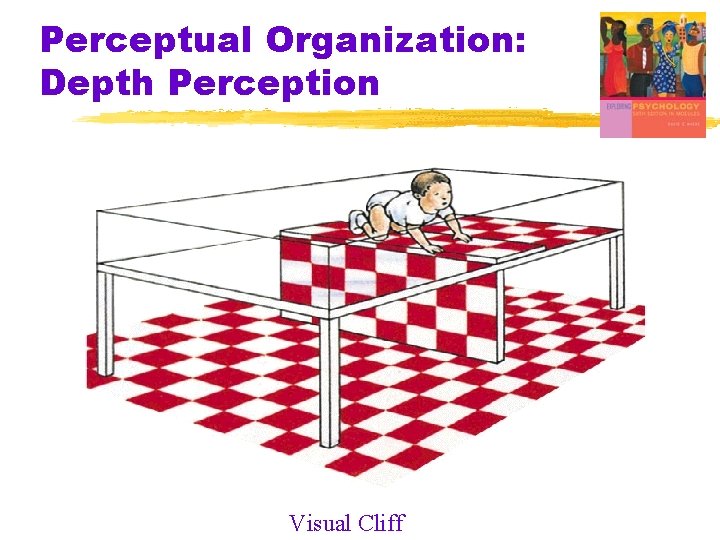 Perceptual Organization: Depth Perception Visual Cliff Perceptual Organization: Depth Perception Visual Cliff