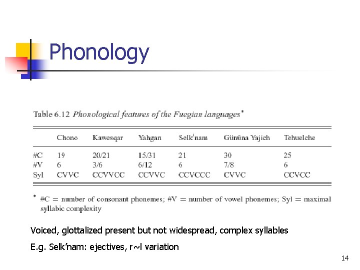 Phonology Voiced, glottalized present but not widespread, complex syllables E. g. Selk’nam: ejectives, r~l