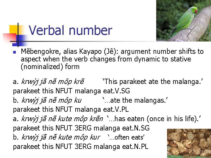Verbal number n Mẽbengokre, alias Kayapo (Jê): argument number shifts to aspect when the