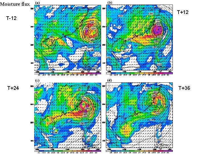 Moisture flux T+12 T-12 T+24 T+36 
