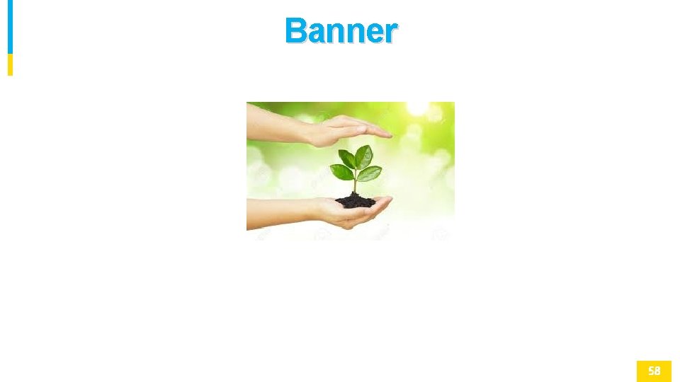 Banner 