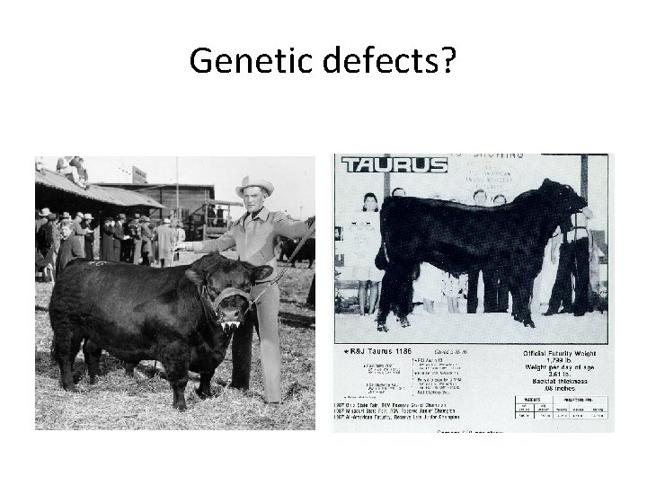 Genetic defects? 