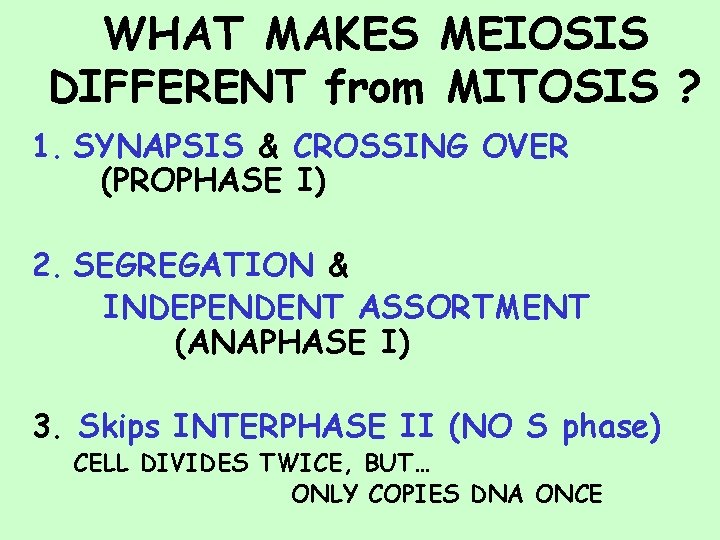 WHAT MAKES MEIOSIS DIFFERENT from MITOSIS ? 1. SYNAPSIS & CROSSING OVER (PROPHASE I)