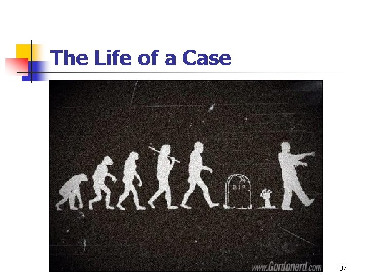 The Life of a Case 37 