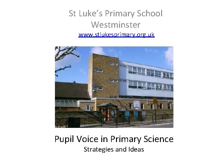 St Luke’s Primary School Westminster www. stlukesprimary. org. uk Pupil Voice in Primary Science