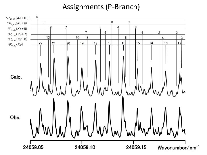 Assignments (P-Branch) 