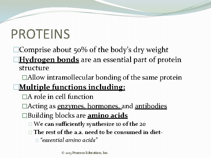 PROTEINS �Comprise about 50% of the body’s dry weight �Hydrogen bonds are an essential