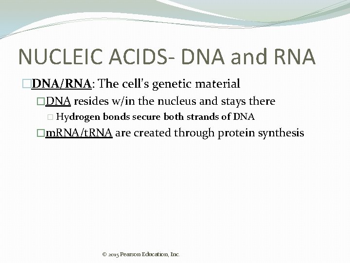 NUCLEIC ACIDS- DNA and RNA �DNA/RNA: The cell’s genetic material �DNA resides w/in the