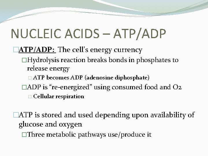 NUCLEIC ACIDS – ATP/ADP �ATP/ADP: The cell’s energy currency �Hydrolysis reaction breaks bonds in