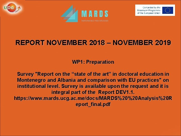 REPORT NOVEMBER 2018 – NOVEMBER 2019 WP 1: Preparation Survey "Report on the “state