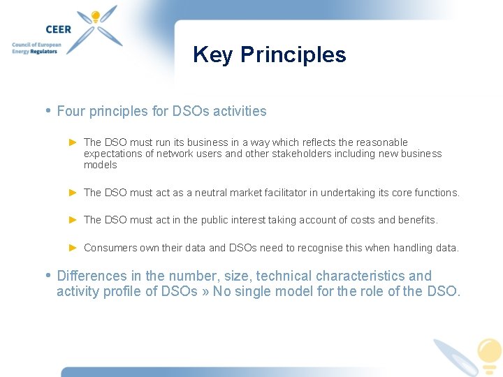 Key Principles • Four principles for DSOs activities ► The DSO must run its