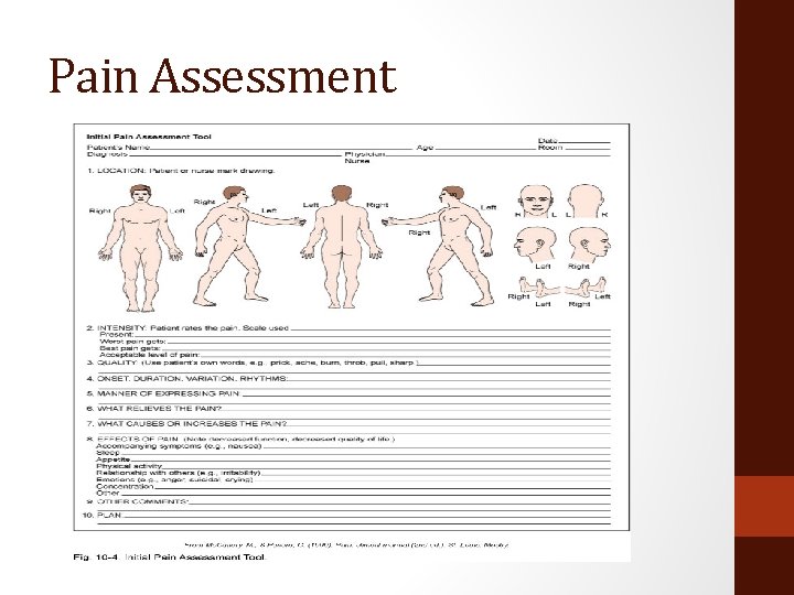 Pain Assessment 