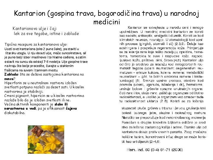 Kantarion (gospina trava, bogorodičina trava) u narodnoj medicini Kantarionovo ulje i čaj: lek za