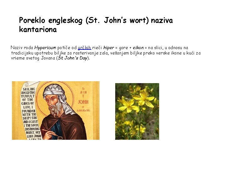 Poreklo engleskog (St. John’s wort) naziva kantariona Naziv roda Hypericum potiče od grčkih rieči