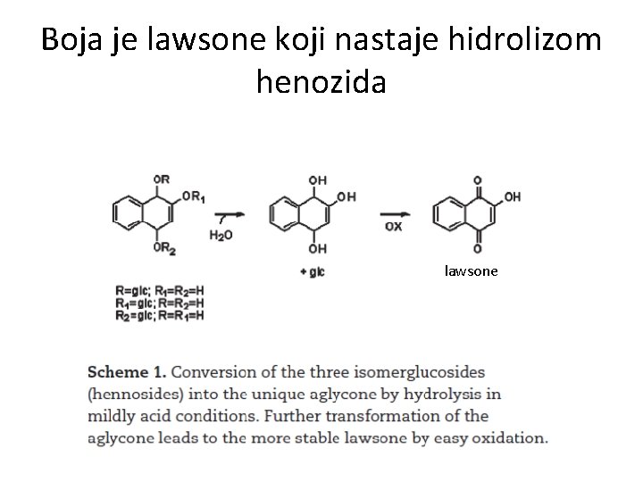 Boja je lawsone koji nastaje hidrolizom henozida lawsone 