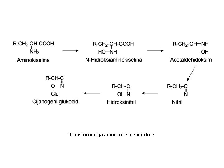 Transformacija aminokiseline u nitrile 