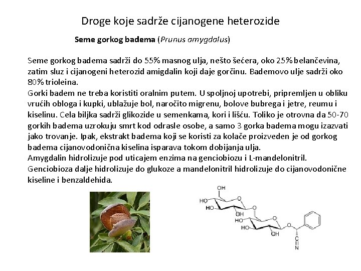 Droge koje sadrže cijanogene heterozide Seme gorkog badema (Prunus amygdalus) Seme gorkog badema sadrži