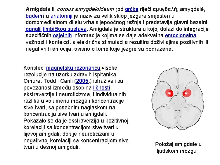 Amigdala ili corpus amygdaloideum (od grčke riječi αμυγδαλή, amygdalē, badem) u anatomiji je naziv