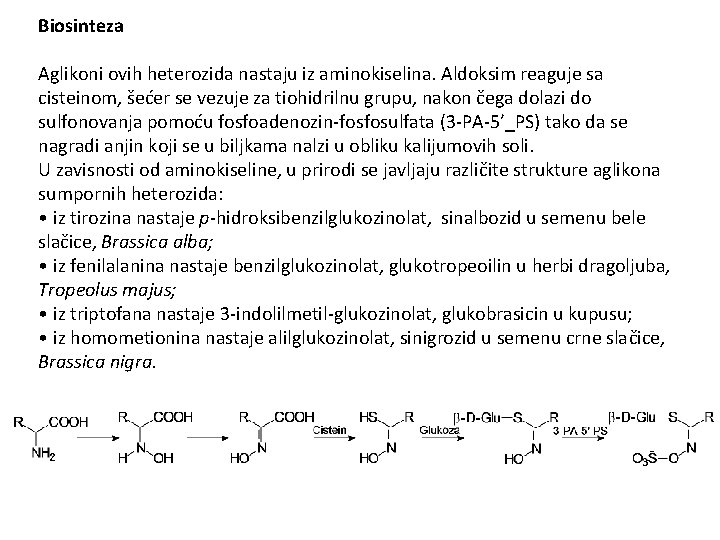 Biosinteza Aglikoni ovih heterozida nastaju iz aminokiselina. Aldoksim reaguje sa cisteinom, šećer se vezuje