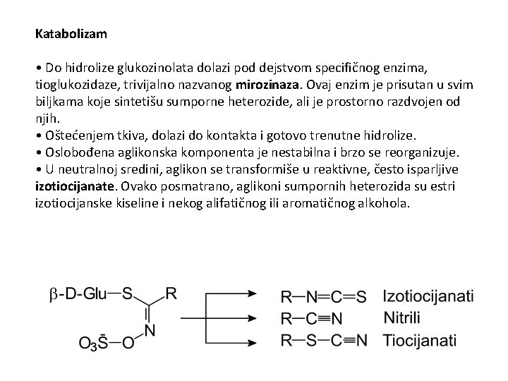 Katabolizam • Do hidrolize glukozinolata dolazi pod dejstvom specifičnog enzima, tioglukozidaze, trivijalno nazvanog mirozinaza.