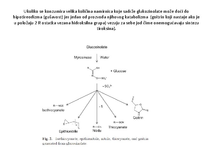 Ukoliko se konzumira velika količina namirnica koje sadrže glukozinolate može doći do hipotireodizma (gušavost)
