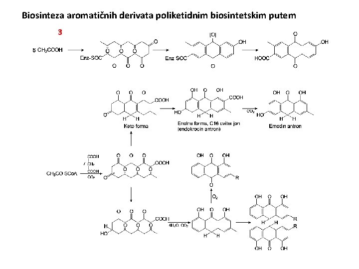 Biosinteza aromatičnih derivata poliketidnim biosintetskim putem 3 