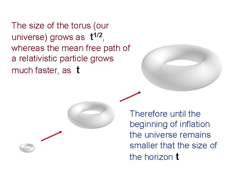 The size of the torus (our universe) grows as t 1/2, whereas the mean