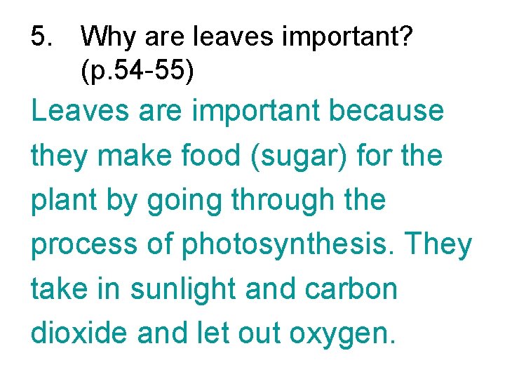 5. Why are leaves important? (p. 54 -55) Leaves are important because they make