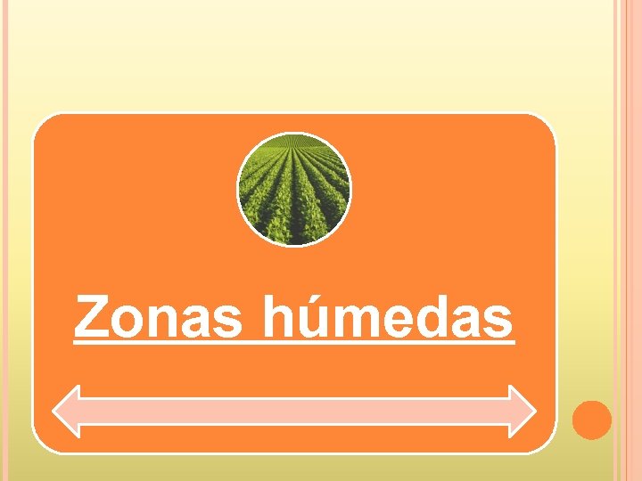 Zonas húmedas 