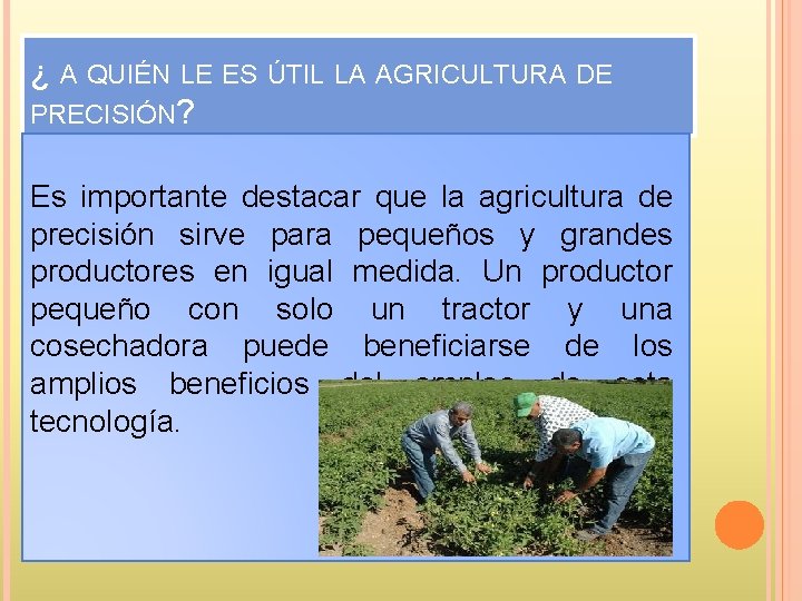 ¿ A QUIÉN LE ES ÚTIL LA AGRICULTURA DE PRECISIÓN? Es importante destacar que