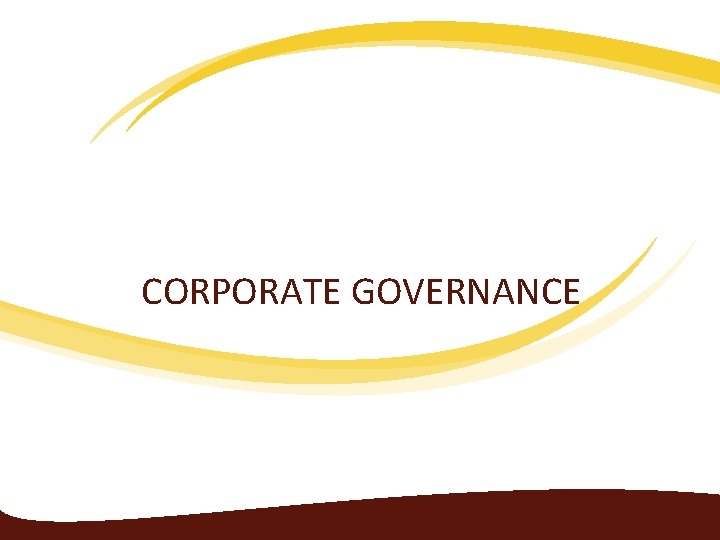 CORPORATE GOVERNANCE 