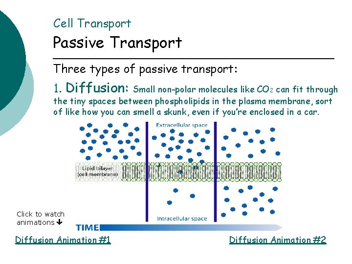 Cell Transport Passive Transport Three types of passive transport: 1. Diffusion: Small non-polar molecules